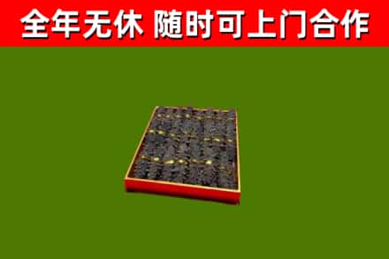 马鞍山回收海参